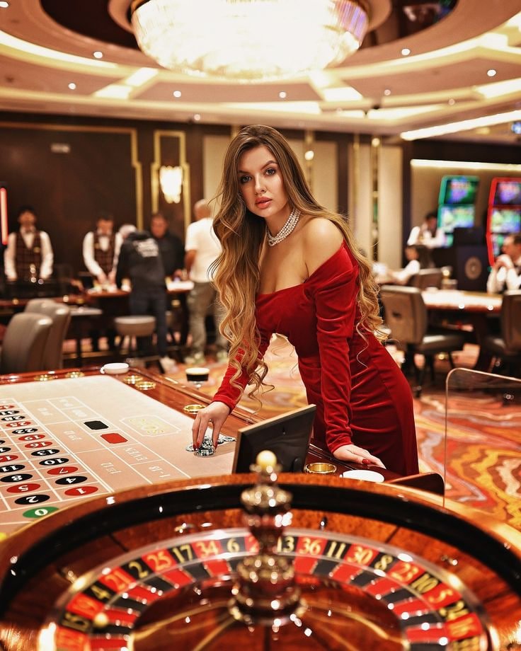 79bet app